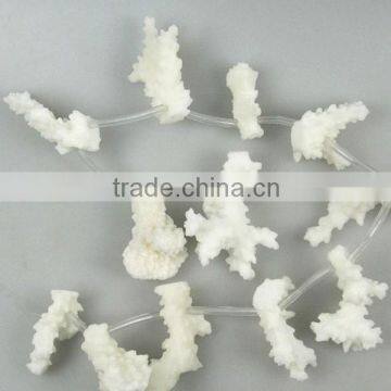 Natural White Coral Rough for Sale