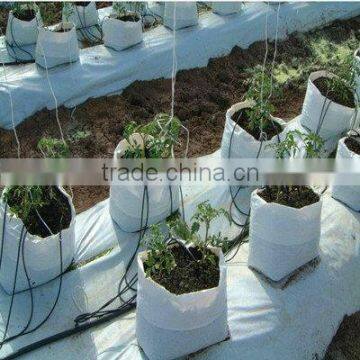 5 Gallon Hydroponic Plastic Grow Bags with Factory Price