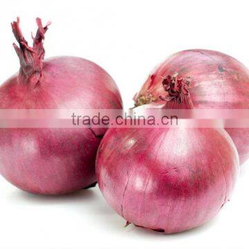 Lal Fresh Onions