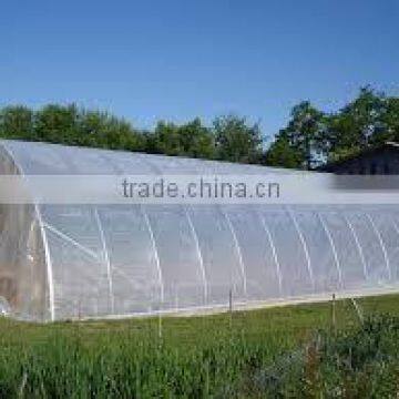 uv protection greenhouse plastic film/anti-uv greenhouse film                        
                                                Quality Choice