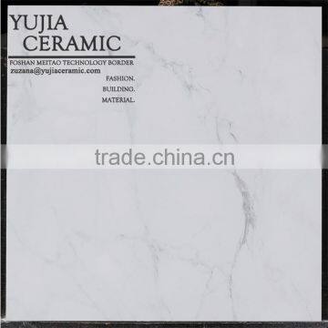 Lowest price fashionable italian porcelain tile for floor 60x60