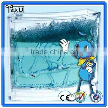 High quality Wholesale Magic Toy Ant Farm for children Education of Ant Worker