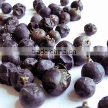 Juniper Berry Oil extracted from Dried ripe fruits by Steam Distillation