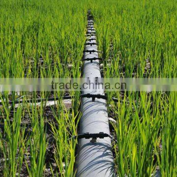 Save water drip line for farm irrigation