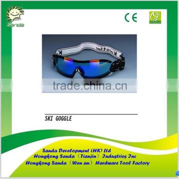 Custom ski goggle with price