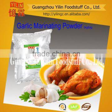 Garlic Flavor Marinated Seasoning Powder made in china with oem service