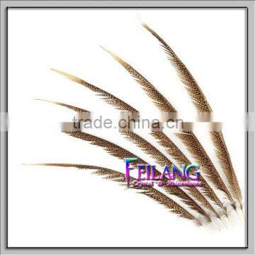 CHEAP PHEASANT GOLDEN FEATHERS