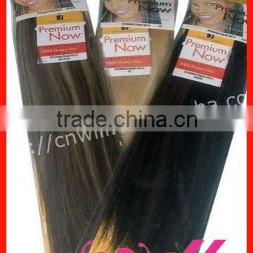 Beauty Silky Straight indian clip in hair extensions 100% indian virgin clip in hair extensions for black women