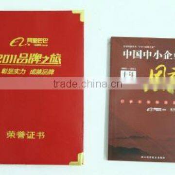 2011 Alibaba Brand Journey