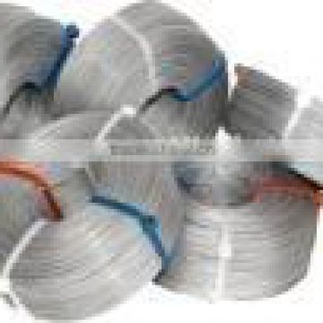 ElectroGalvanized Steel Wire