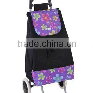 SHOPPING CART WITH BAG