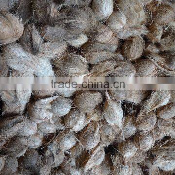 Good Quality Fully Husked Dry Coconut for Sell photo-5