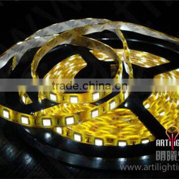 Best Price hot sale 3528 smd flexible led strip lights 220v