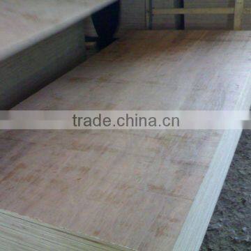 Keruing face & back plywood