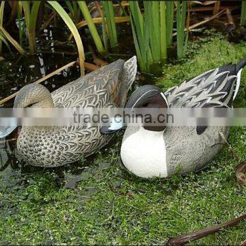 Supply pintail duck decoys for hunting