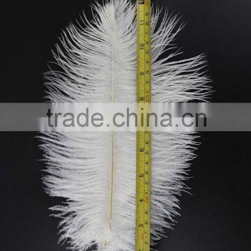 ZPDECOR Wholesale Exporting Selected Prime Quality From 12'' to 14'' White Ostrich Feather for Sale photo-4