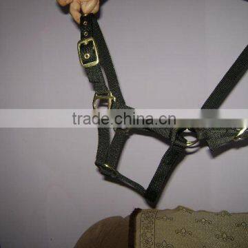 Leather Halter