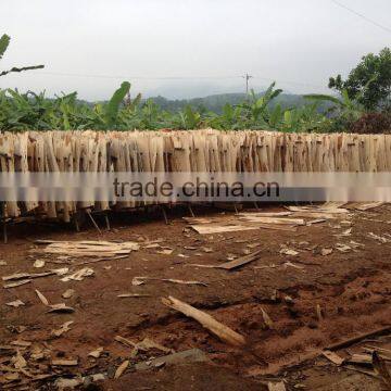 Natural Core Veneer for Processing