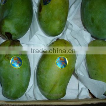 Fresh Alphonso Mangos