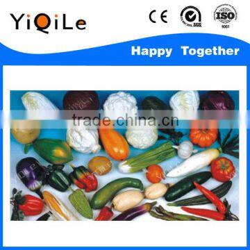 Kids Other Toys Vegetable Toys and Kids Plastic Toys photo-6