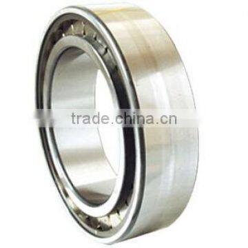 High Precision and Cheap Deep Groove Ball Bearing 61821TN