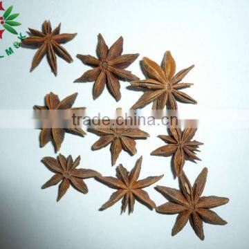 Good Qulity Grade A Ganzhi Star Anise