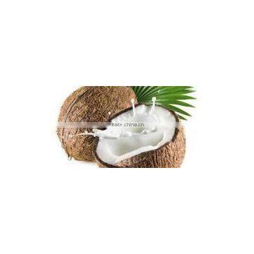 Coconut Milk Produced in Vietnam Fat 22% photo-3