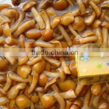 Canned Mushrooms