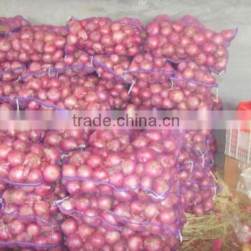 Fresh red onion with good quality