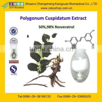 GMP Factory Supply Pure Resveratrol Extract