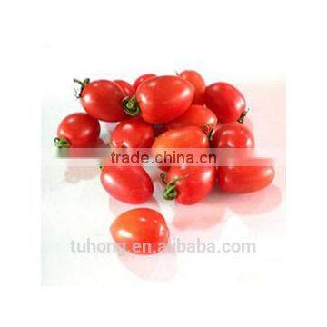 F1 Hybrid Cherry Tomato Seeds Supplied Roma VF Tomato Seeds