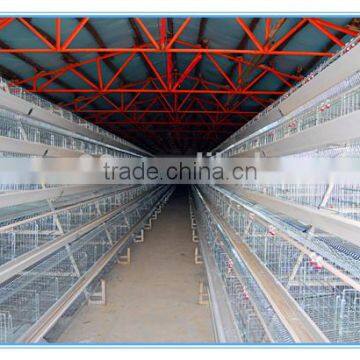 automatic poultry equipment