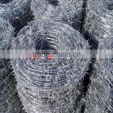 Barbed Wire fence,galvanized barbed wire,concertina wire