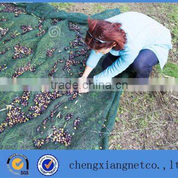 virgin material HDPE olive harvest net for sale