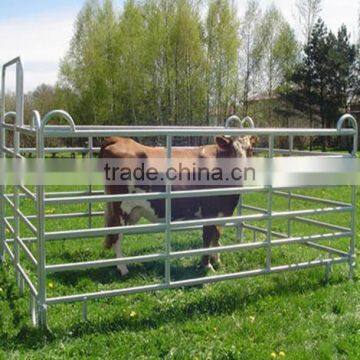 Stainless Steel Cheap Cattle Fence