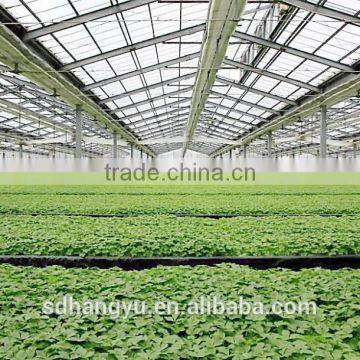 Commercial Greenhouse For Mushroom Vegetable photo-6