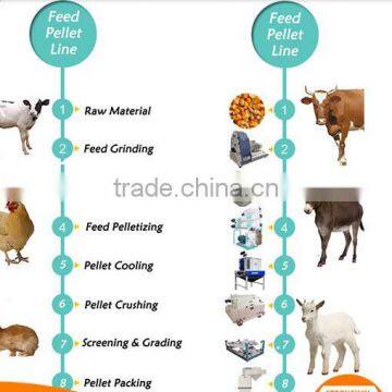 Bird Feed Pellet Making Machine photo-6