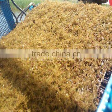Full Automatic Aquatic Weed Harvester In China photo-2