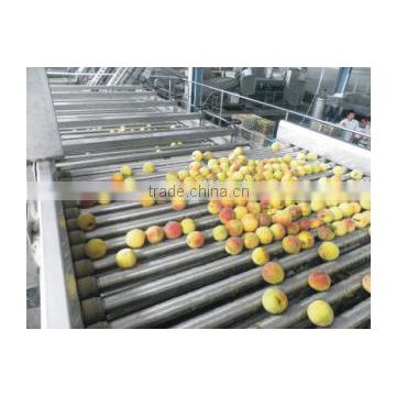 Peach Grading Machine Sorter Grader