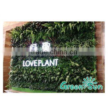 vertical garden supplies