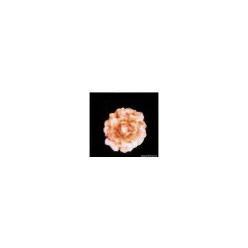 Corn Shell Flower