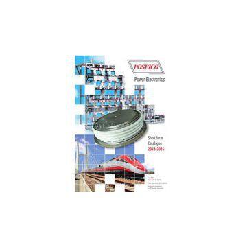 POSEICO Thyristor photo-3
