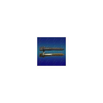 Pointed Tail Screw Spike 24X165