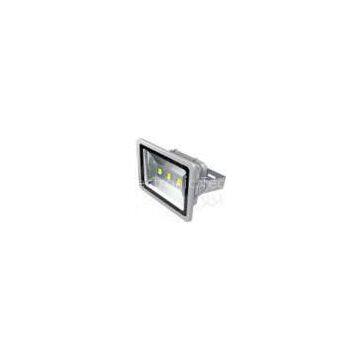Flood Lamp 150W COB Flood Light LED Outdoor Lighting