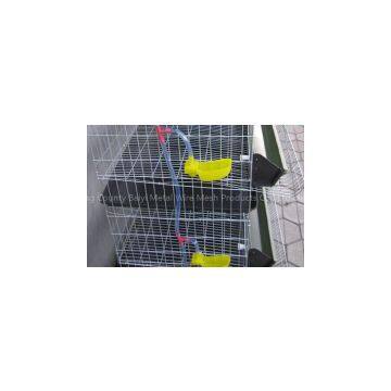 Metal Wire Layer Quail Cages for Sale