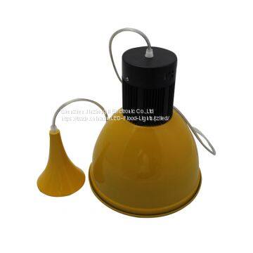 P10 Led Pendant Light photo-3