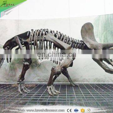 KAWAH Amazing Realistic Artificial Huge Real Dinosaur Skull For Sale