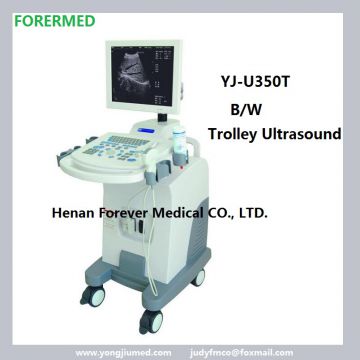 Cheap trolley ultrasound Scanner for obsterics