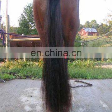 Faux Horsehair Horse Hair Extension Fake Tail for Your Horse Racing photo-2