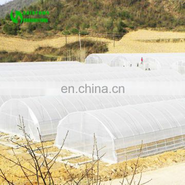 Hot Sale Super Hoop Tunnel Greenhouse For Tomato